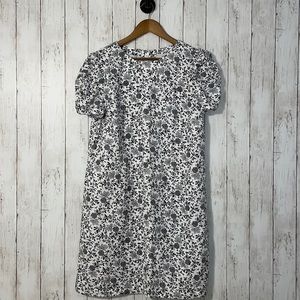 NWT LOFT Shift Dress